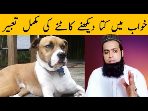 Khwab mein kutta dekhna | dog dream meaning | khwab mein kutta dekhne ki tabeer|خواب میں کتا دیکھنا
