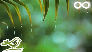 Relaxing Music &amp; Rain Sounds - Beautiful Piano Music, Background Music, Sleep Music