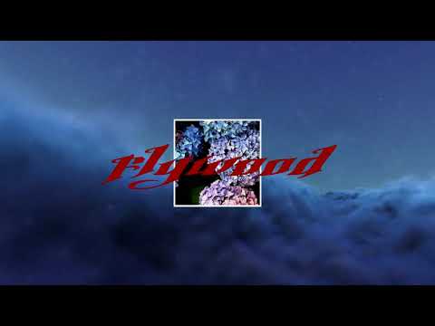 (FREE) "Flywood" Type Beat | 2020 Rap Beat (prod. kyngbitz)