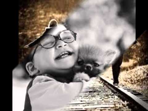 westlife- flying without wings (Tradu&ccedil;&atilde;o)