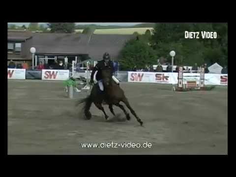 Quiwi Dream Hans-Dieter Dreher