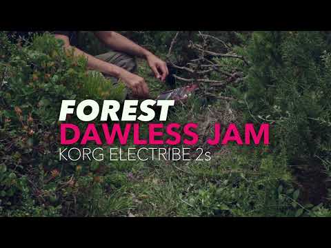 Korg Electribe Dawless Jamming at the Forerst #trance #trancemusic #dawlessjam #korgelectribe2