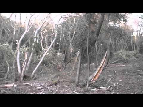 Un'occhiata al Parco MSRM 22 gennaio 2012.mov