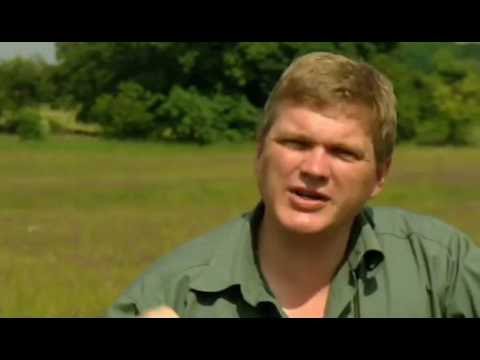 Wild Britain S01E03 Hay Meadow