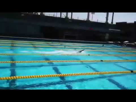 Владимир Морозов Тренировочные 50 м Вольный стиль