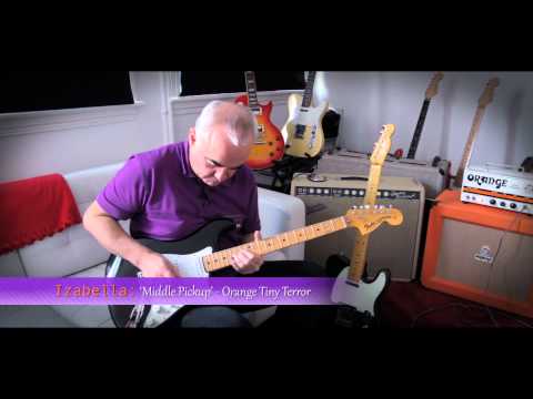 TLGS Hand Wound Pickups - Izabella late 60s Single Coil Demo