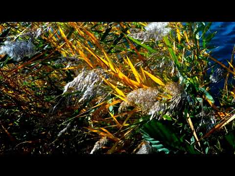 Paweł Wasiak   Podróż mojego ja