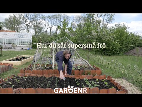 Hur du sår supersmå frö - Trädgårdshacks med GardenR