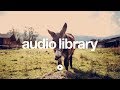 Corncob Kevin MacLeod No Copyright Music