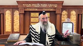 האם אפשר לברך ברכה אחרונה על צירוף כזית משבעת המינים ממינים אחרים (הרב יצחק ישראלי) - התמונה מוצגת ישירות מתוך אתר האינטרנט יוטיוב. זכויות היוצרים בתמונה שייכות ליוצרה. קישור קרדיט למקור התוכן נמצא בתוך דף הסרטון