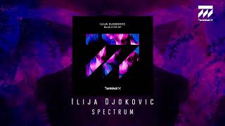 Ilija Djokovic - Spectrum