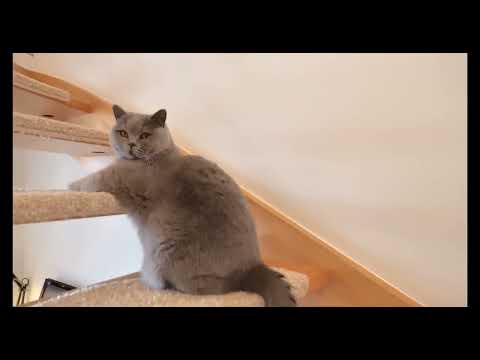 Rodinný dům 4+kk Drahelčice