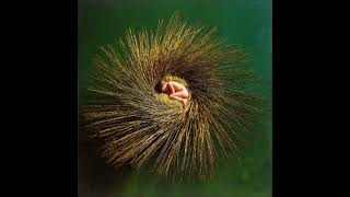 87/365  PETER GABRIEL (Genesis) - TIME OF THE TURNING (with Alison Goldfrapp &amp; Richie Havens) (2000)