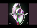 Never Give Up (Techno Version)