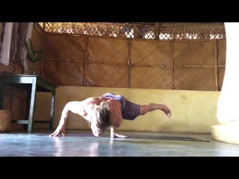 Punggu Mayūrāsana - The Wounded Peacock, Crocs and More