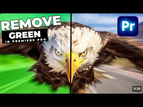 How to remove green screen from a video in adobe premiere pro | ADOBE TUTORIALS | Hasith Verse_{}