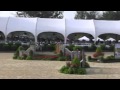 Video of FOOLS GOLD ridden by ANTHONY RUOTOLO from ShowNet!