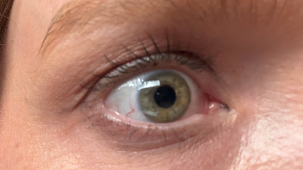 The Only Solution to Feminism is More Feminism | Women HAVE RUINED NYC 