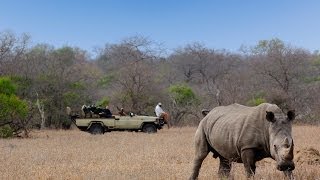 Nature & Wildlife Photography Tips - Photographer David Smith