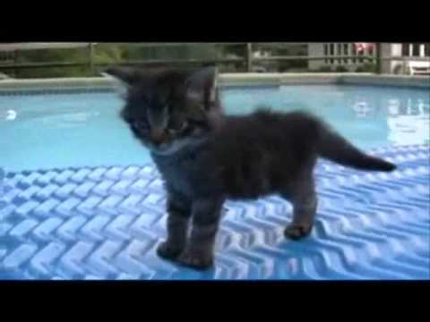 Matt Darey Urban Astronauts ft. Kate Smith - See The Sun  (Aurosonic remix)