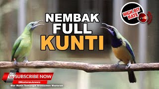 Download lagu #100 🔴Masteran Cucak Cungkok Gacor Isian Kunti Volume TEMBUS ❗️DORRRR❗️ mp3 Download lagu #100 🔴Masteran Cucak Cungkok Gacor Isian Kunti Volume TEMBUS ❗️DORRRR❗️ mp3