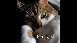 Storytime // Fur Beau (Music for Cat Anxiety &amp; Stress) // Johnny Salib