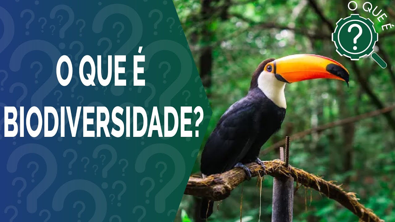 O Que é Biodiversidade?