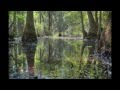 Jambalaya - Tab Benoit - The Bayou Blues 