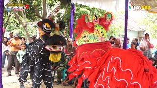 Download lagu BARONGSAI (UNYU UNYU) ~ BUROK DANGDUT CINTA NADA BUDAYA SHOW DUKUHTURI - KRBALE 24/06/2024 mp3