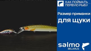 Размеры воблеров на щуку
