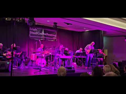 Matt Leavy , Sarah Jory with the Irish Steel Guitar House Band . 