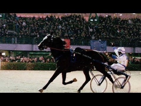 VARENNE CAMPIONATO EUROPEO DEI 5 ANNI - IPPODROMO SANT'ARTEMIO DI TREVISO - 19/02/2000 - #ILTROTTOTV