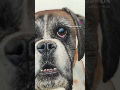 #RITRATTI dell' #ANIMA: #CANI e #GATTI #RITRATTIANIMALI #RITRATTI REALISTICI #acquerello #inchiostro