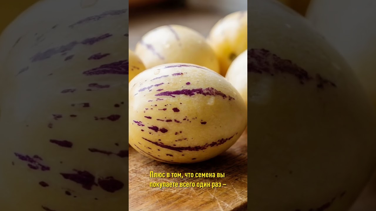 Фрукт со вкусом дыни, груши и огурца!