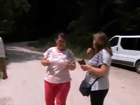 Apuseni( Comuna Sohodol. Sat Valea Verde, Vf. Sturu)