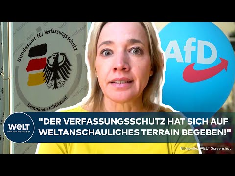 MEINUNG: Schröder kritisiert Verfassungsschutz! "Nicht über jeden Zweifel erhaben!" AfD-Gutachten