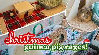 CHRISTMAS GUINEA PIG CAGE TOURS & HAUL! 🎄🎅🏻