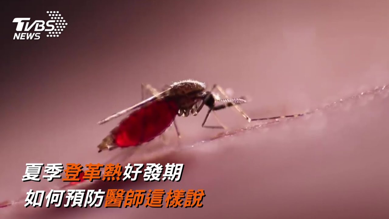 夏季登革熱好發期防範蚊蟲叮咬 防蚊液挑選 醫師建議可從成分著手