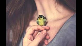 Fro Fro Heart by Maggie Björklund & Kurt Wagner