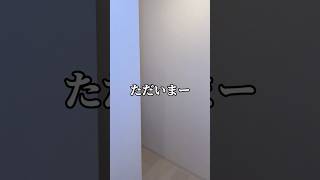 今週の東京店ゲスト出勤はこの2人！ #推しは推せる時に推せ #推し推せ #コンカフェ #ミナミコンカフェ #アイドル #メイド #shorts