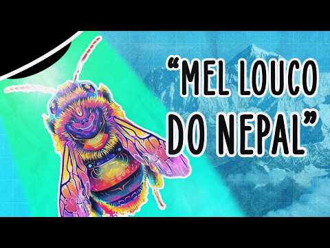 MEL HALUCINÓGENO SE POPULARIZA NO MUNDO, MAS CAUSA ACIDENTES | ABDUÇÃO