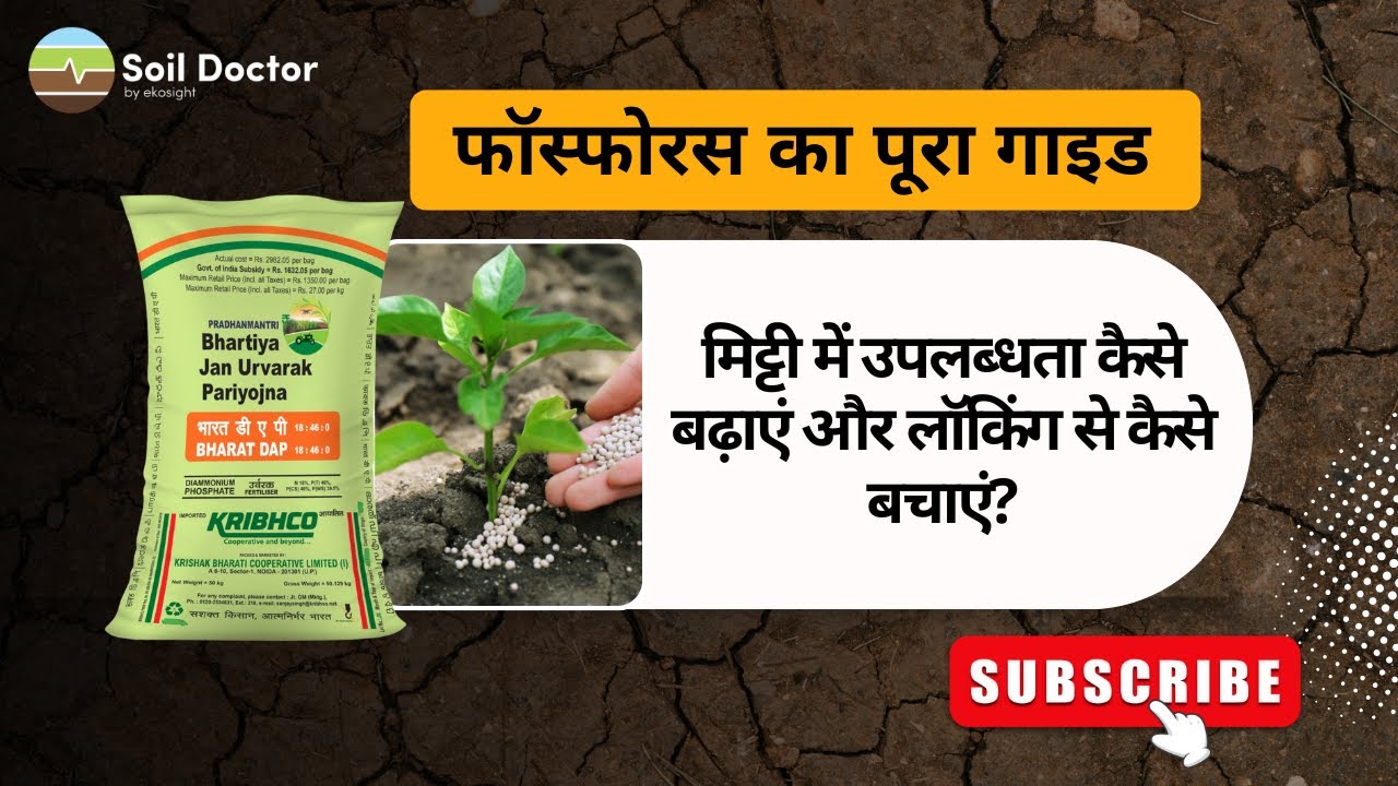 Phosphorus Complete Guide
