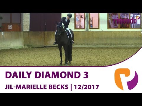 Daily Diamond 3 v. Daley Thompson & Jil-Marielle Becks | Appelhülsen 2017
