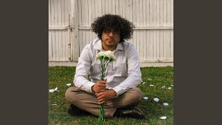 Bonsai Tree Music Video