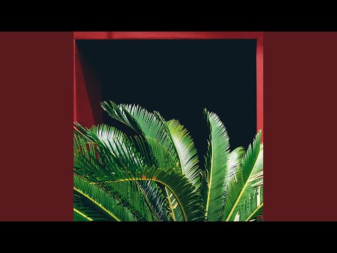 Habetha (Hisham Abbas vocal)