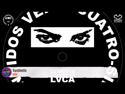 LVCA - Synthetic [22recordings]