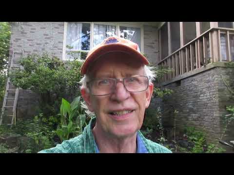 I Put Down 39' of 4' Landscape Fabric to Grow 87 Trees Worth $10,000.