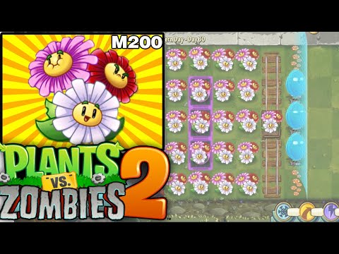 Dazey Chain Master 200 l Powerful of Dazey Chain l New Plants Dazey Chain l Plants vs Zombies2
