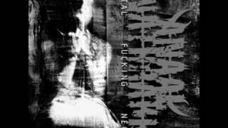 Anaal Nathrakh - De Mysteriis Dom Sathanas