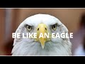 BE LIKE AN EAGLE